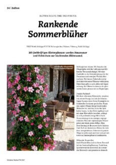 Presseartikel: Rankende Sommerblüher (Schweizer Garten | April 2017)