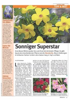 Presseartikel: Sonniger Superstar (Glückspost | Mai 2017)