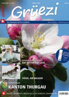 Presseartikel: Blütenwunder Dipladenia (Grüezi Magazin | Mai 2018)